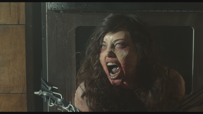 Illustration for article titled Life After Beth Fails To Inject New Life Into The "Zombie Comedy" Genre